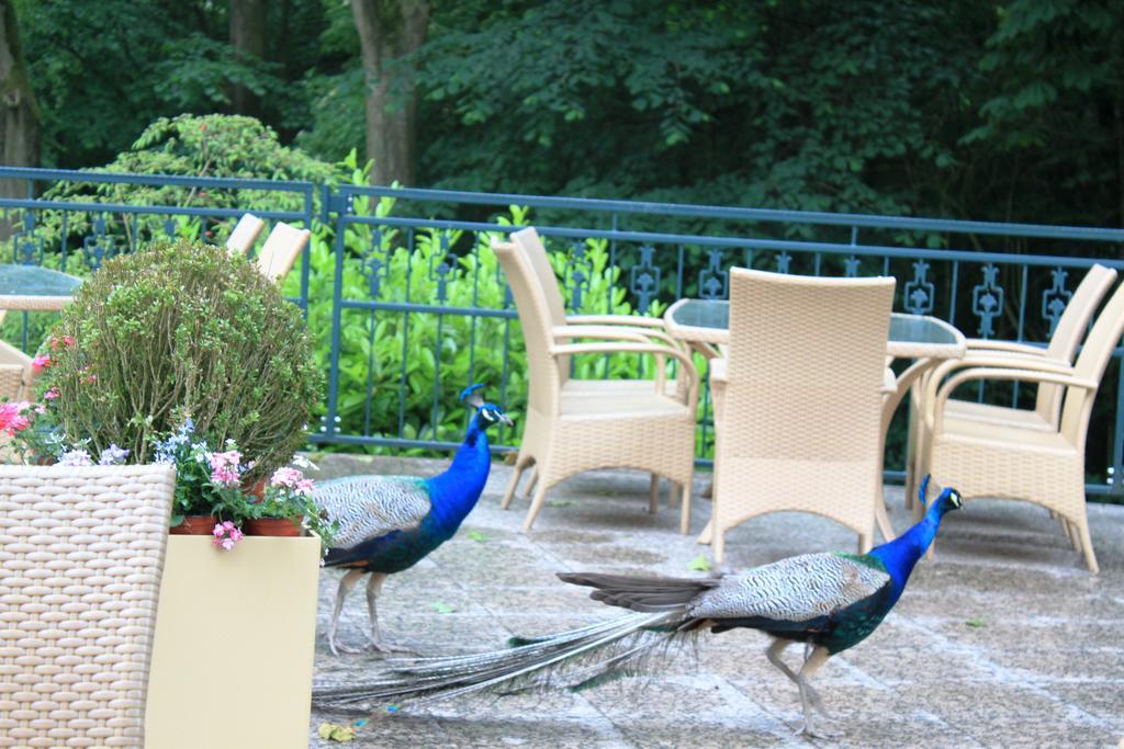 Akzent Hotel Hoxberg Beckum Extérieur photo